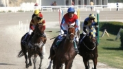 46th and 47th horse-racing meetings 2012 – 26th and 28th October 